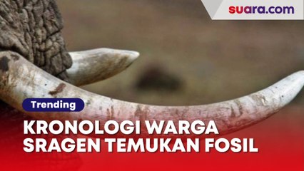 Kronologi Warga Sragen Temukan Fosil Gading Gajah Purba, Dapat Imbalan Rp1 Juta