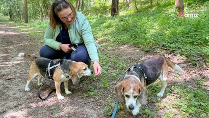 Enzo Pflegestellen-Tagebuch Teil 2