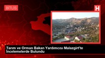 Tarım ve Orman Bakan Yardımcısı Malazgirt'te İncelemelerde Bulundu