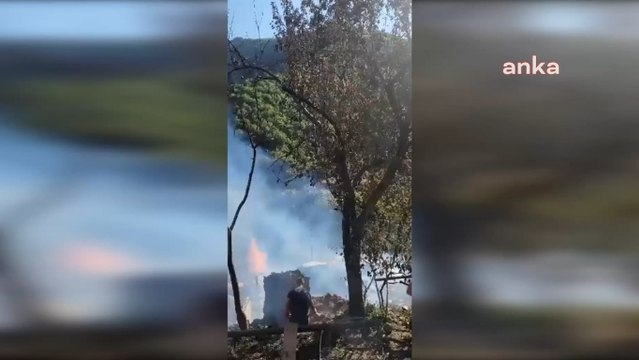 Artvin’de köyde çıkan yangında 5 ev, 2 samanlık, 2 ahır ve 1 traktör kullanılmaz hale geldi
