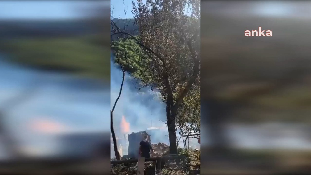 Artvin’de köyde çıkan yangında 5 ev, 2 samanlık, 2 ahır ve 1 traktör kullanılmaz hale geldi