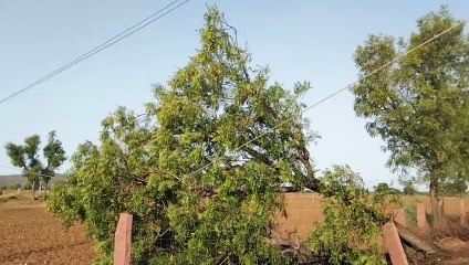 मानसून : इस सप्ताह बारिश के आसार नहीं