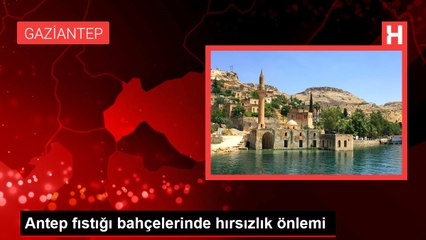 Antep fıstığı bahçelerinde hırsızlık önlemi