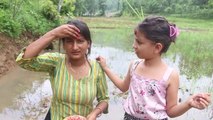 village women planting muddy rice plant in traditional way