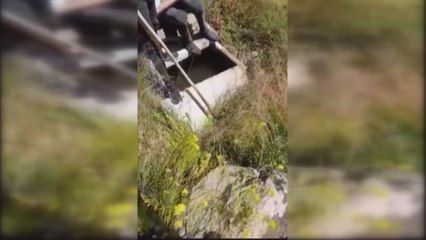 İçme suyu deposunda  fare ölüleri çıktı