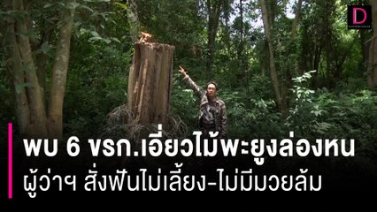 พบ 6 ขรก.เอี่ยวไม้พะยูงล่องหน ผู้ว่าฯ สั่งฟันไม่เลี้ยง-ไม่มีมวยล้ม | HOTSHOT เดลินิวส์ 08/08/66