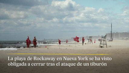 Nueva York vive el primer ataque de Tiburón en 70 años