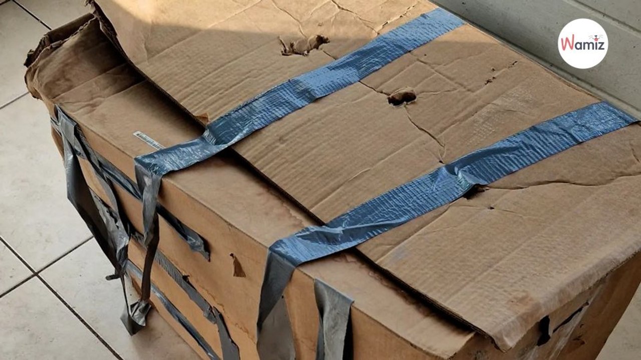 Hastig verpacktes Paket gefunden: Und dann bewegt es sich auch noch!