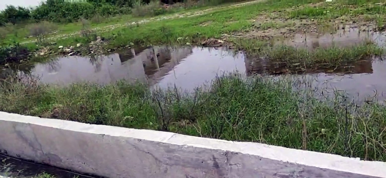बारिश के दौरान गड्ढ़े व नालियों में एकत्र पानी...