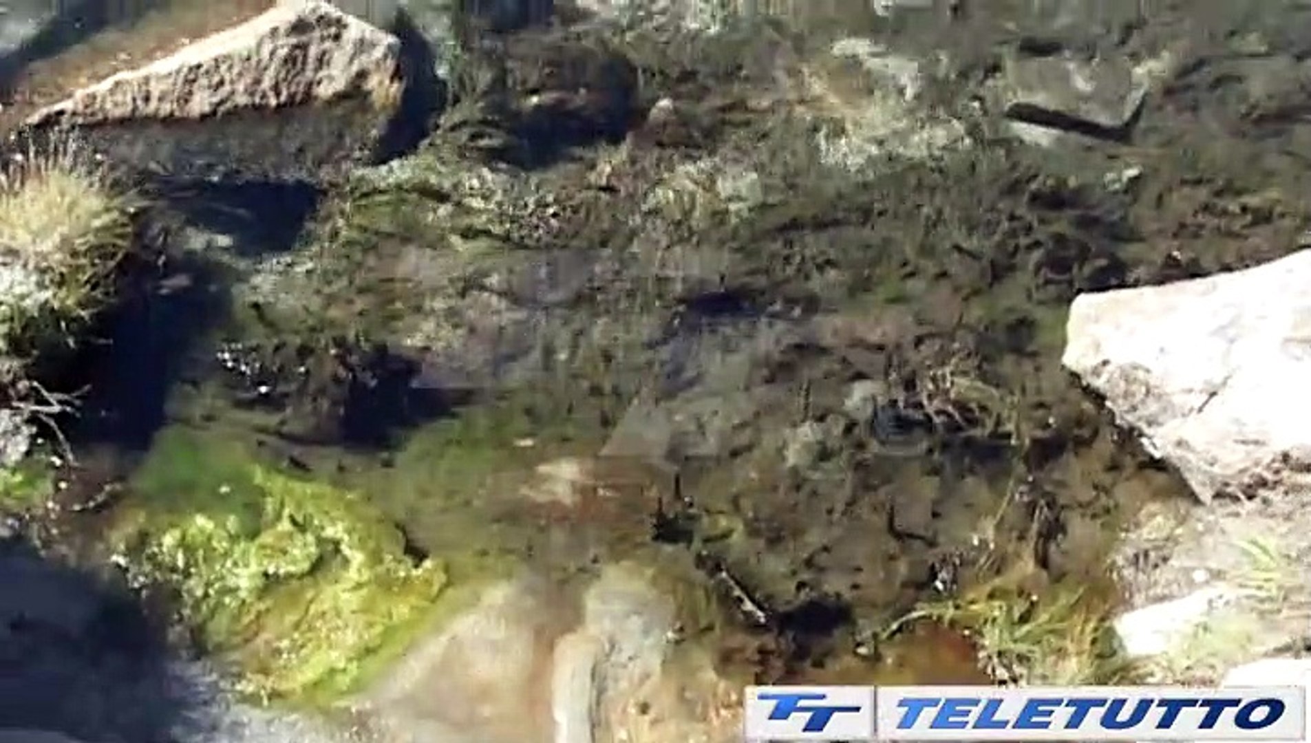 Video News - MONTAGNA TRAGICA
