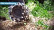 Extreme Fast Tree Stump Grinder Modern Technology, Intelligent Forestry Equipment and Mega Machines--#5