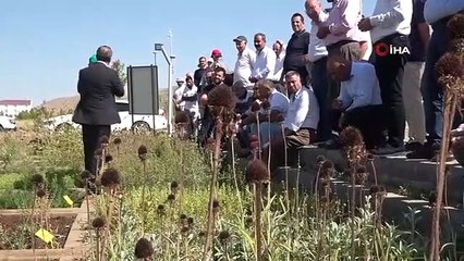 Des plantes médicinales et aromatiques ont été introduites à Muş