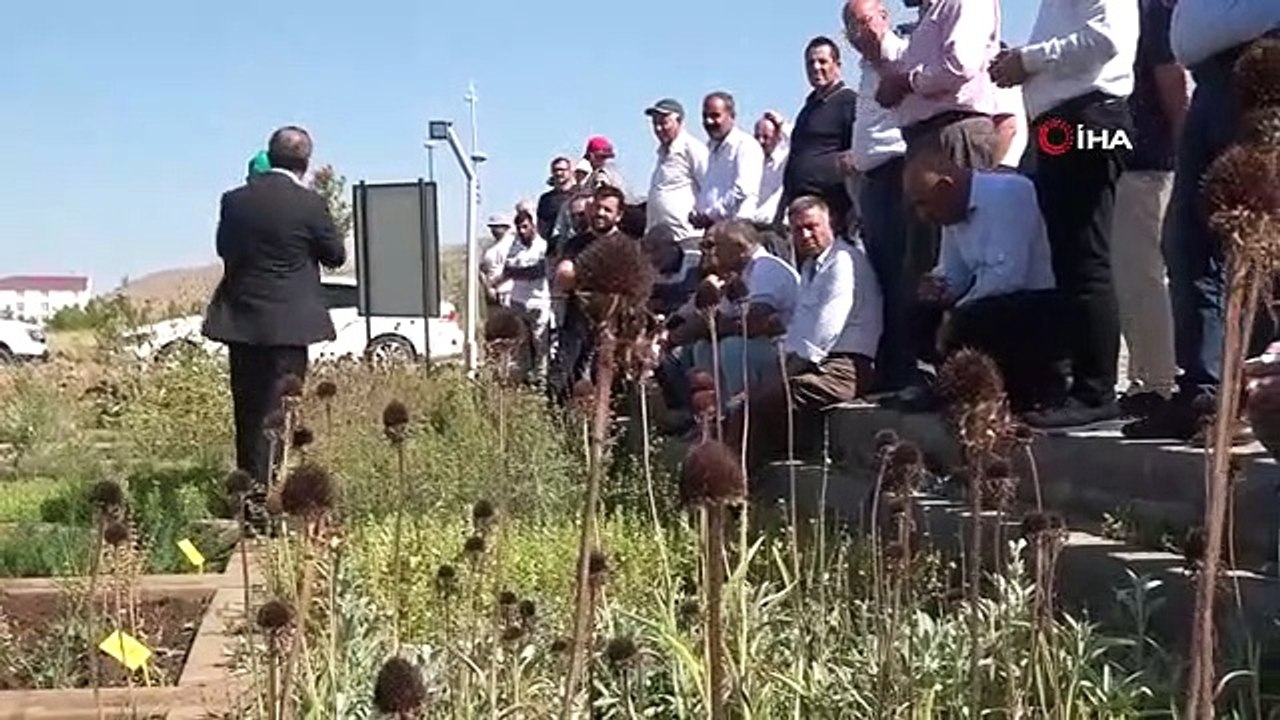 Des plantes médicinales et aromatiques ont été introduites à Muş