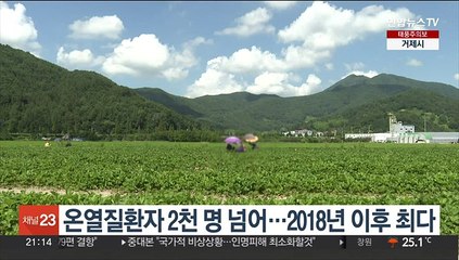 올여름 온열질환자 2천명 넘어…2018년 이후 최다