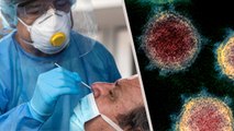 Coronavirus New Variant Eris इन लोगो के लिए ज्यादा Dangerous, WHO Alert Viral | Boldsky