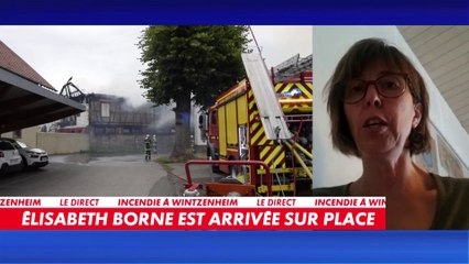 Nathalie Klotz, témoin de l'incendie en Alsace : J'ai entendu du bruit, puis j'ai vu un impressionnant panache de fumée»