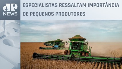 Télécharger la video: Agrotalk Business: Empresários e agricultores discutem cenário do setor