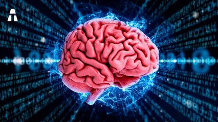 Ce Projet FOU dOrdinateur à Partir de Cellules du Cerveau Humain