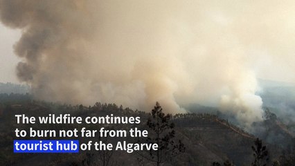 Firefighters use planes to battle a blaze in southern Portugal