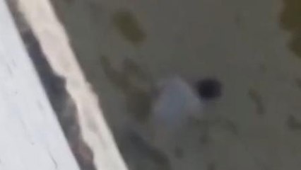 गया: नदी में तैरती मिली युवक की लाश, नहीं हो सकी शिनाख्त, लोगो ने पुलिस पर लगाया आरोप