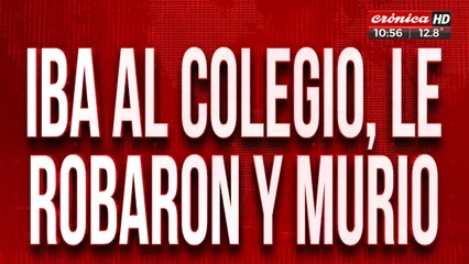 Morena tenía once años, fue víctima de un robo y murió