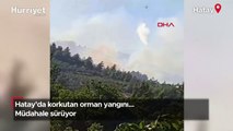 Hatay'da korkutan orman yangını: Havadan ve karadan müdahale sürüyor