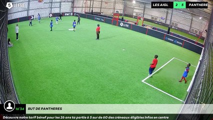 But de PANTHERES