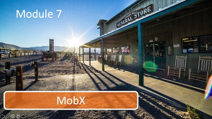 MobX (Legacy) - Section 7 introduction