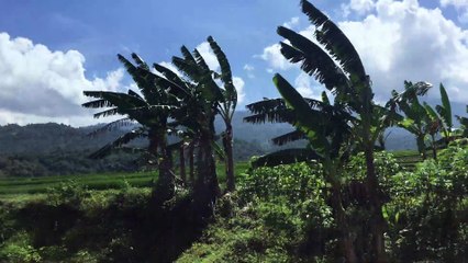 Beautiful Views of Indonesia from Inside the Train