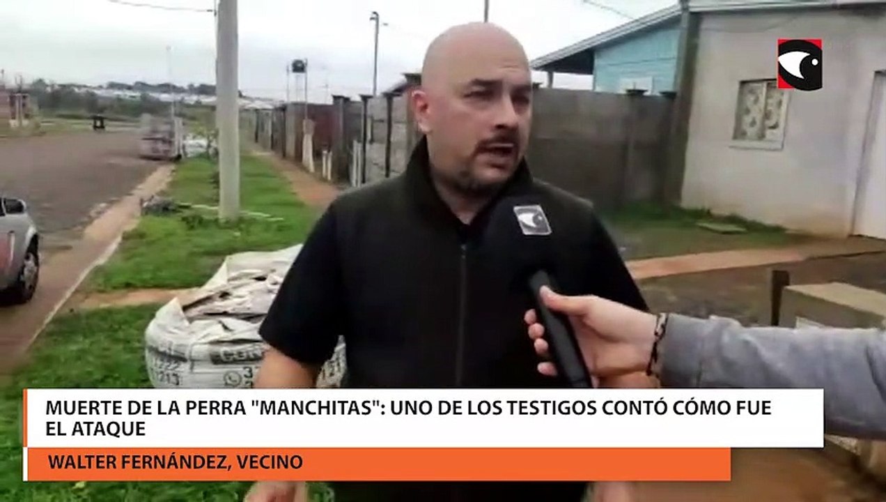 Muerte de la perra Manchitas uno de los testigos contó cómo fue el ataque