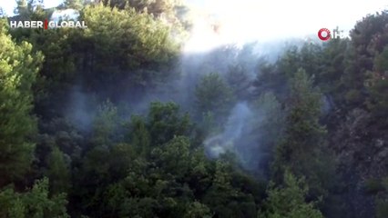 Hatay Defne'deki orman yangını kontrol altına alındı