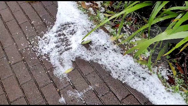 Internautas registram chuva de granizo em vários pontos de Cascavel