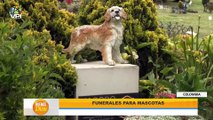 Crece la cultura de funerales y velatorios para mascotas en Colombia