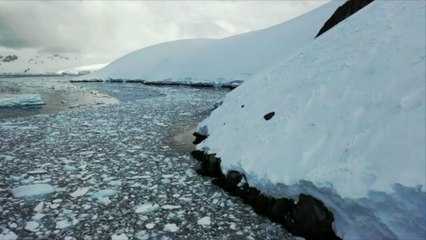 Les scientifiques alertent sur les températures extrêmes en antarctique