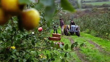 Rosamunde Pilcher - Segreti tra Amici - Film completo 2017