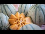 4 astuces magiques pour recycler les écorces des melons, et vous allez adorer !