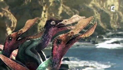 Un petit ptérosaure apprend à voler (anhanguera) - ZAPPING SAUVAGE