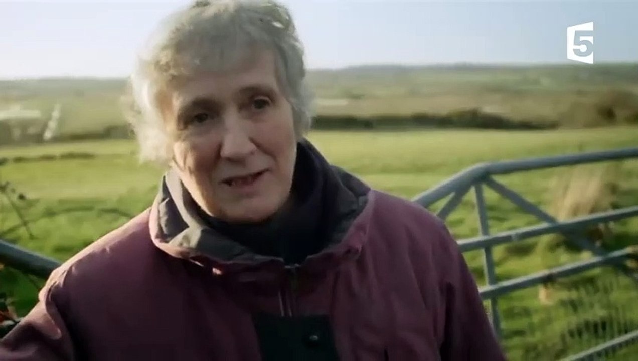 Un chat devient guide d'un chien aveugle - ZAPPING SAUVAGE