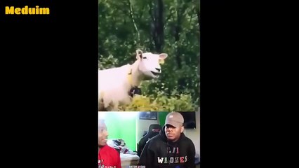 Don't Smile While Watching This Video  (SUPER HARD)