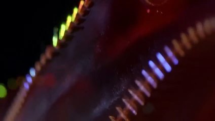 PRÉDATEURS 2 3 (FRANCE 5 BBC) - ZAPPING SAUVAGE 51