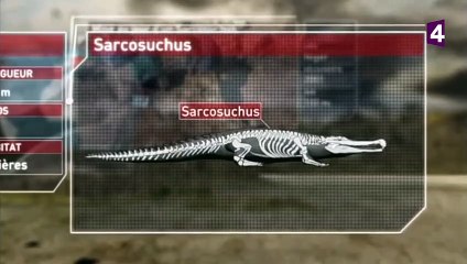 Paralititan VS sarcosuchus (dinosaures) - ZAPPING SAUVAGE