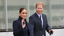Prince Harry and Meghan Markle Have Their Next Netflix Project Lined Up