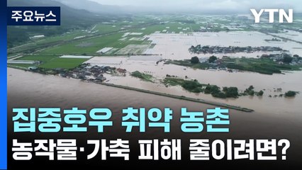 집중호우에 취약한 농촌...농작물·가축 피해 줄이려면? / YTN
