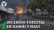 Incendios forestales en Hawái provocan numerosos daños y evacuaciones