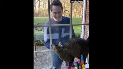 Check out this heartwarming moment between a human and a cat (2)