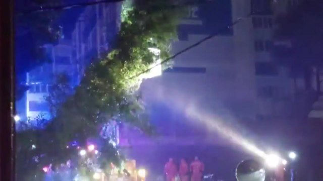 경남 거제 쓰러진 나무가 전선에 걸려 / YTN