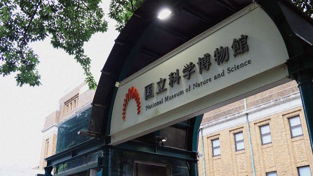 Crowdfunding helps Japanese museum pay the bills