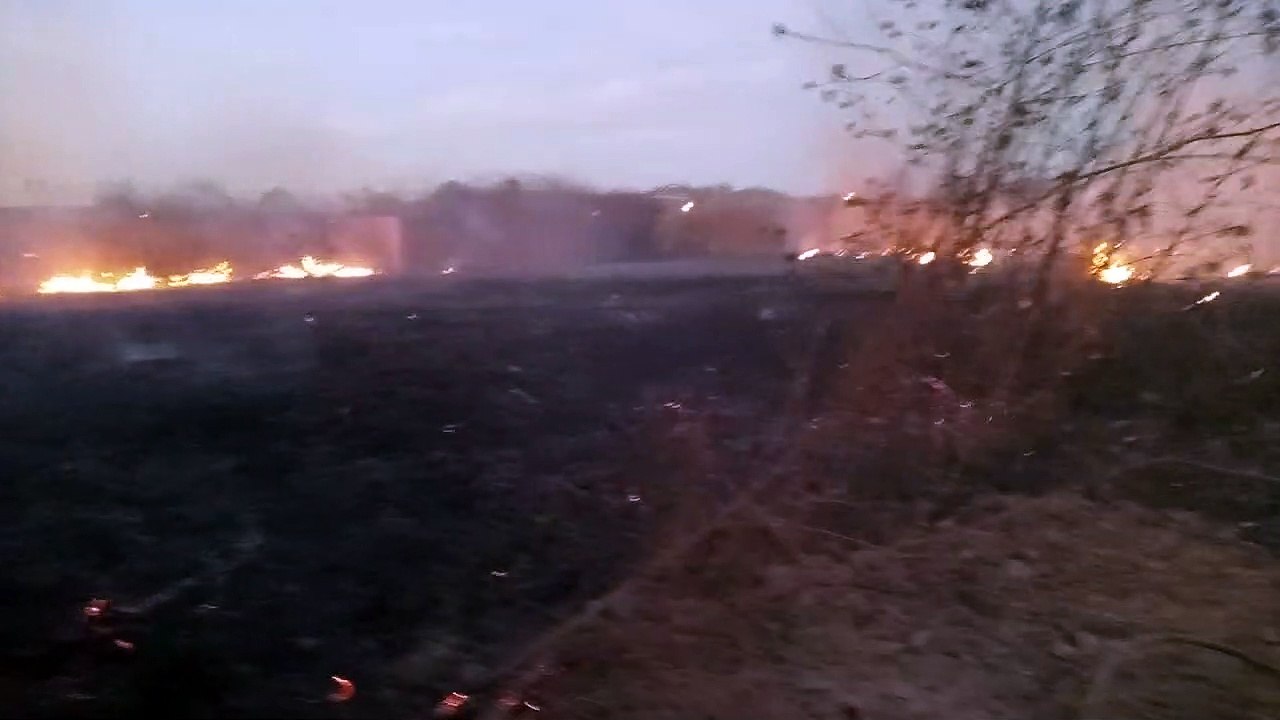 Incendio en zona sur