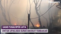 Rumah Bedeng di Tengah Hutan Mangrove Denpasar Terbakar, Uang Tunai Rp30 Juta Hangus