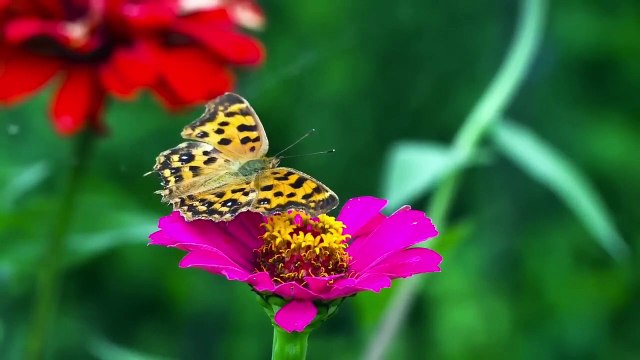 Bangla Choti Golpo বাংলা চটি গল্প _ Bangla Choti Golpo 2023